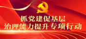 抓黨建促基層治理能力提升專(zhuān)項(xiàng)行動(dòng)