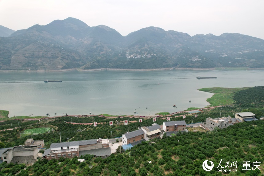 三沱村正以“三峽橙莊”建設(shè)為契機，描繪鄉(xiāng)村振興新圖景。人民網(wǎng)記者 劉政寧攝