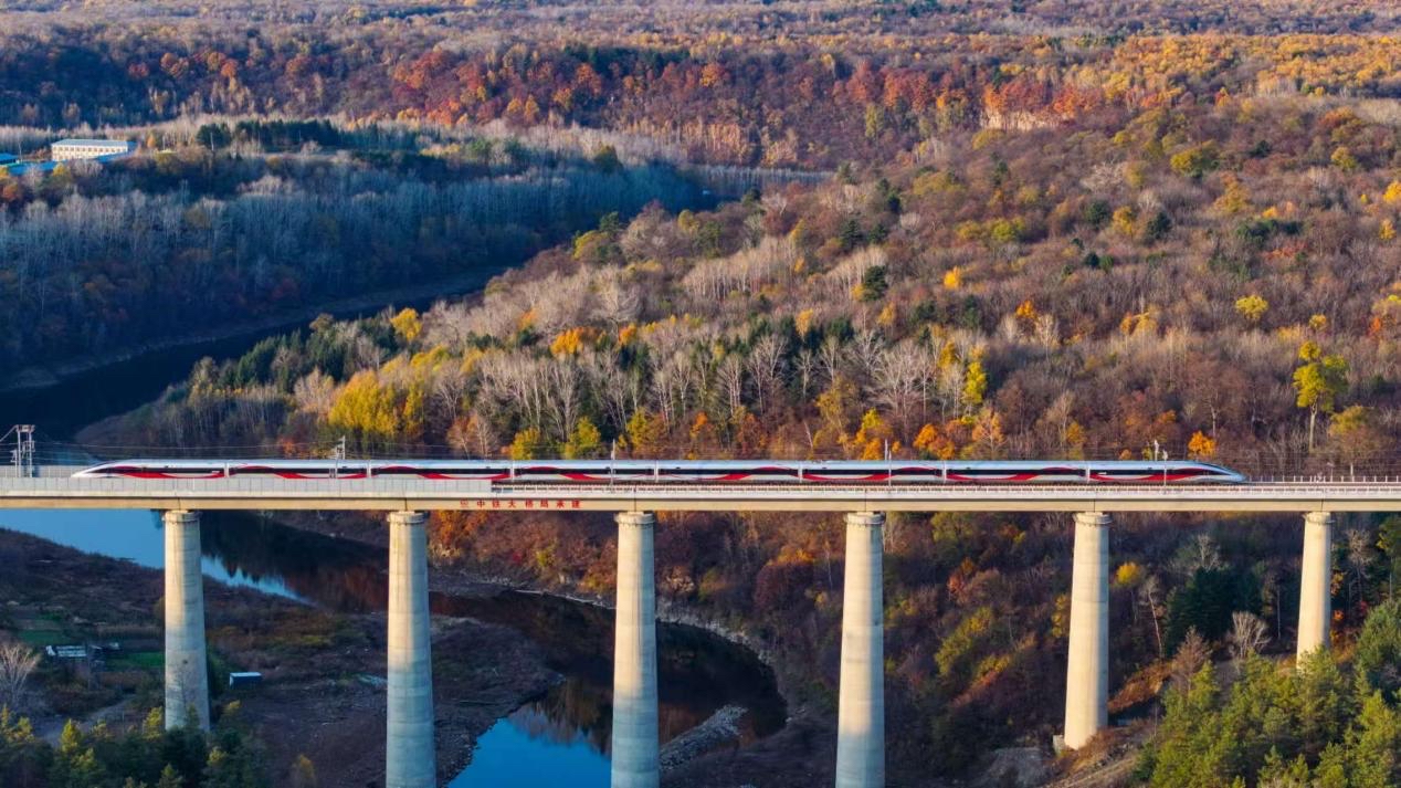 沈白高鐵正式開通運營。受訪方供圖