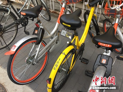 資料圖。某輛共享單車號碼被損。<a target='_blank'  _fcksavedurl='http://www.chinanews.com/' ></table>中新網(wǎng)</a> 吳濤 攝